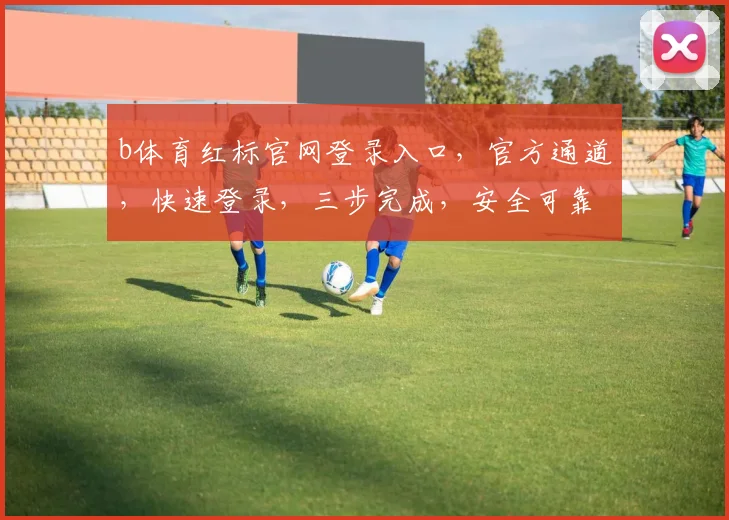 b体育红标官网登录入口，官方通道，快速登录，三步完成，安全可靠，必看指南，不容错过