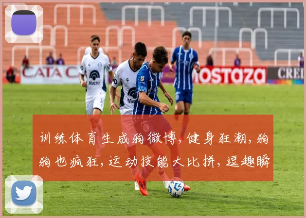 训练体育生成狗微博,健身狂潮,狗狗也疯狂,运动技能大比拼,逗趣瞬间大公开