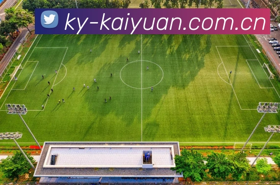 ky开元平台生态图